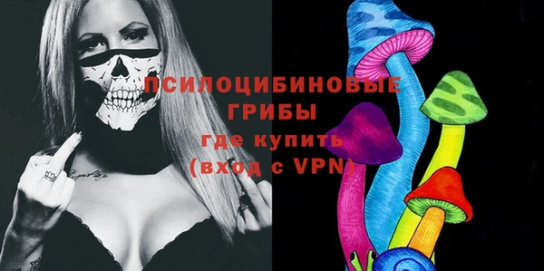 меф Переславль-Залесский